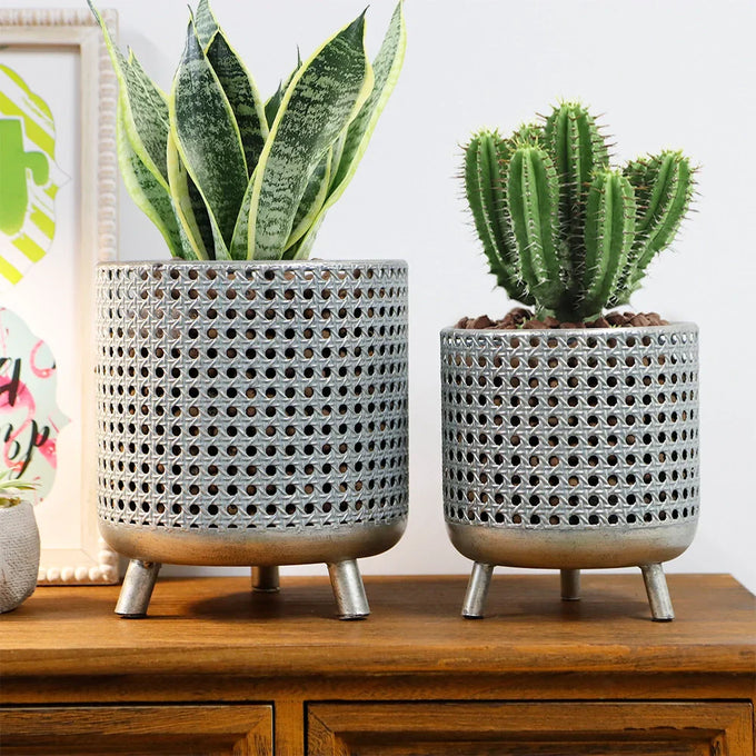 Vases & Planters