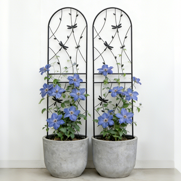 Dragonfly Motif Metal Garden Trellis Pair — Arched black metal trellis pair with dragonfly motifs for climbing plants