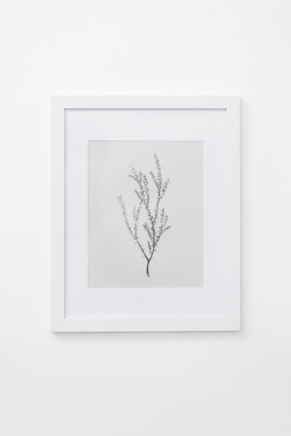 Framed Botanical Sprig Print