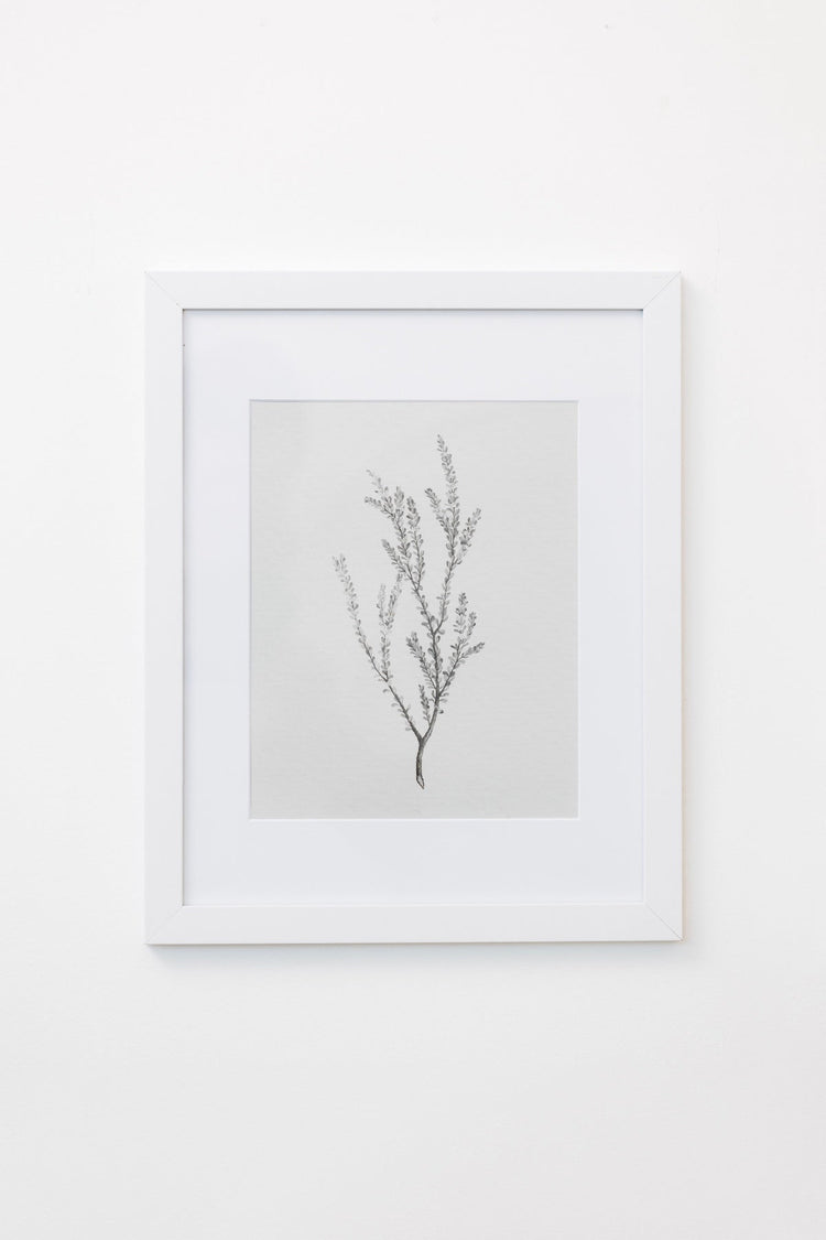 Framed Botanical Sprig Print