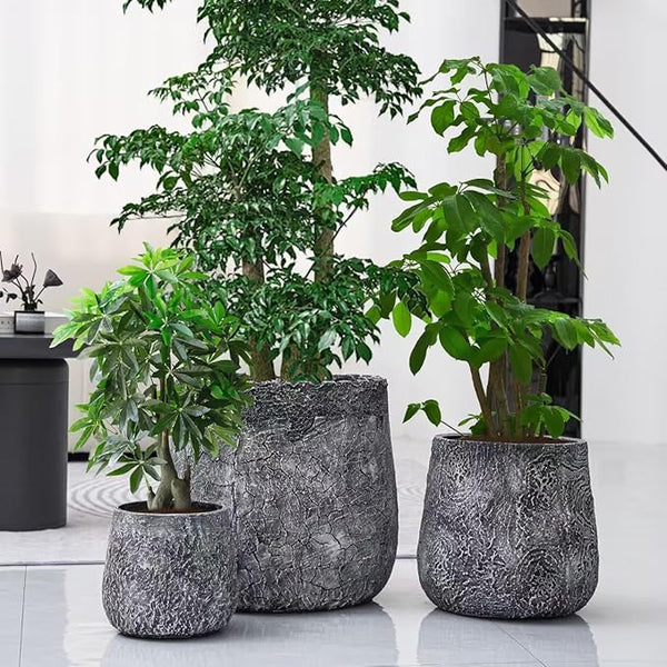 Cracked-Texture Concrete-Finish Planter Set