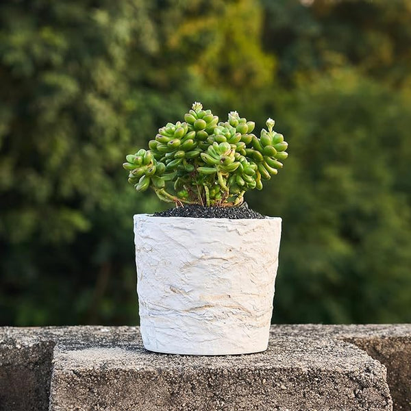 Ore-Texture Resin Planter Pot