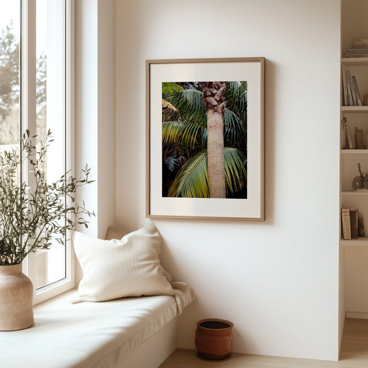 Botanical Palm Archival Art Print