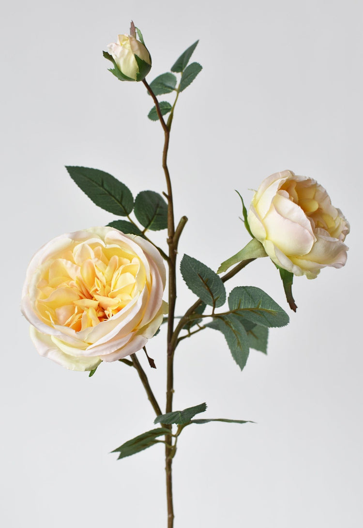 Apricot Faux Cabbage Rose Stem — Wire-reinforced faux rose stem in layered apricot, cream, and blush tones