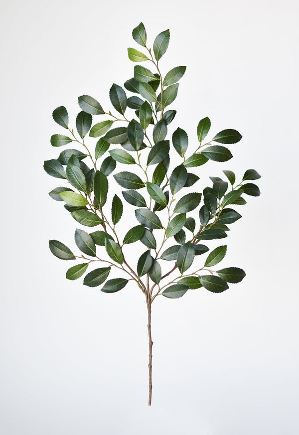 Faux Ruscus Botanical Leaf Stem — A 26-inch faux ruscus stem with layered greens and a shapeable wire core