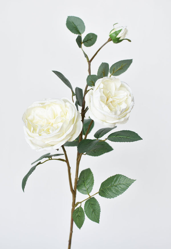 Ivory Faux Cabbage Rose Stem — Ivory faux cabbage rose with two blooms, a bud, and shapeable wire stem