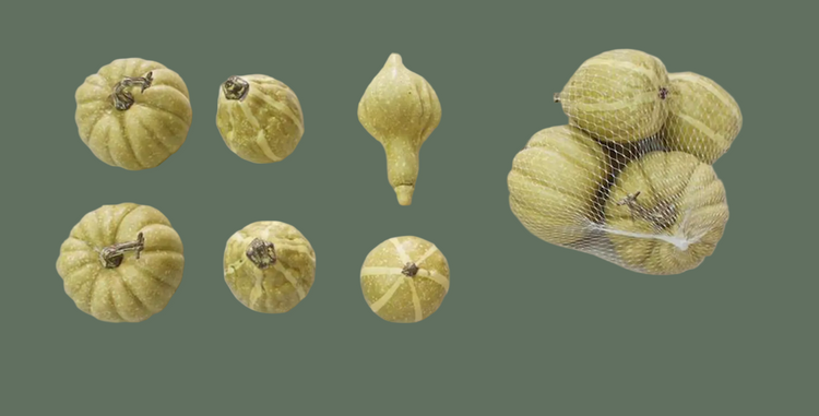 Green Pumpkin & Gourd Assortment, Set of 6