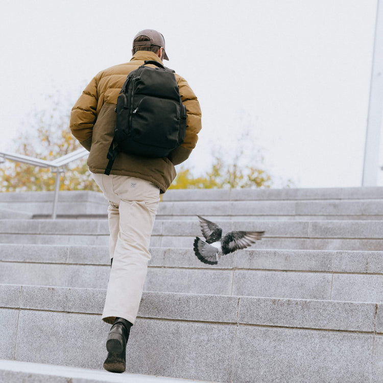 Travel-Ready Organisational Backpack