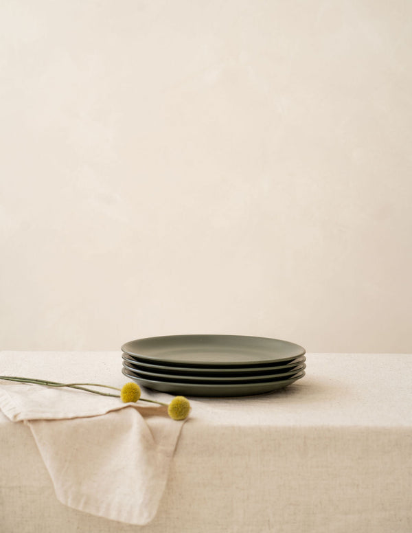Matte Ceramic Dinner Plate Set