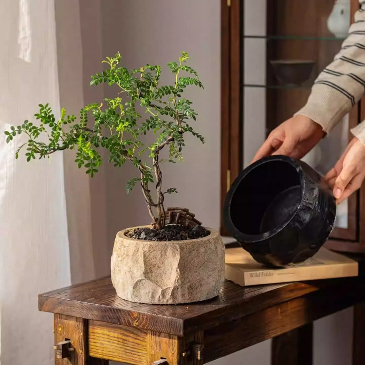 Chiseled Cement Round Planter