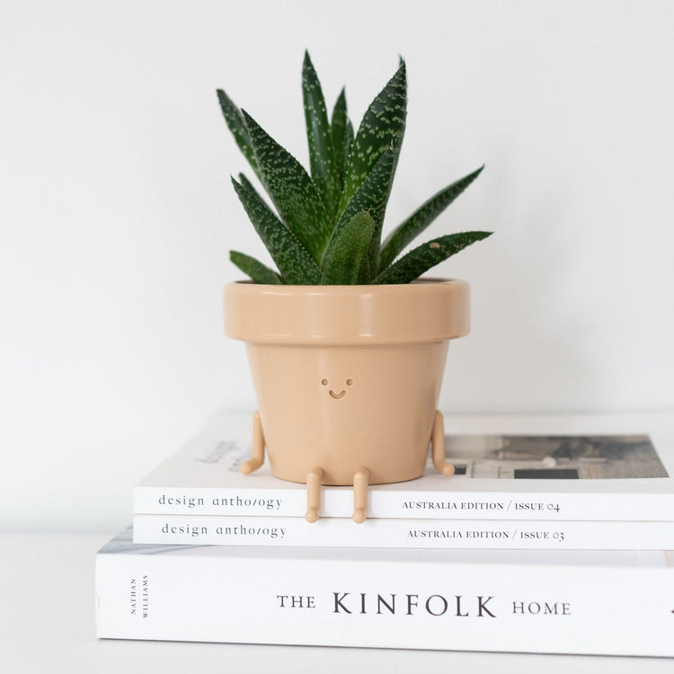 Character Sitting Indoor Plant Pot