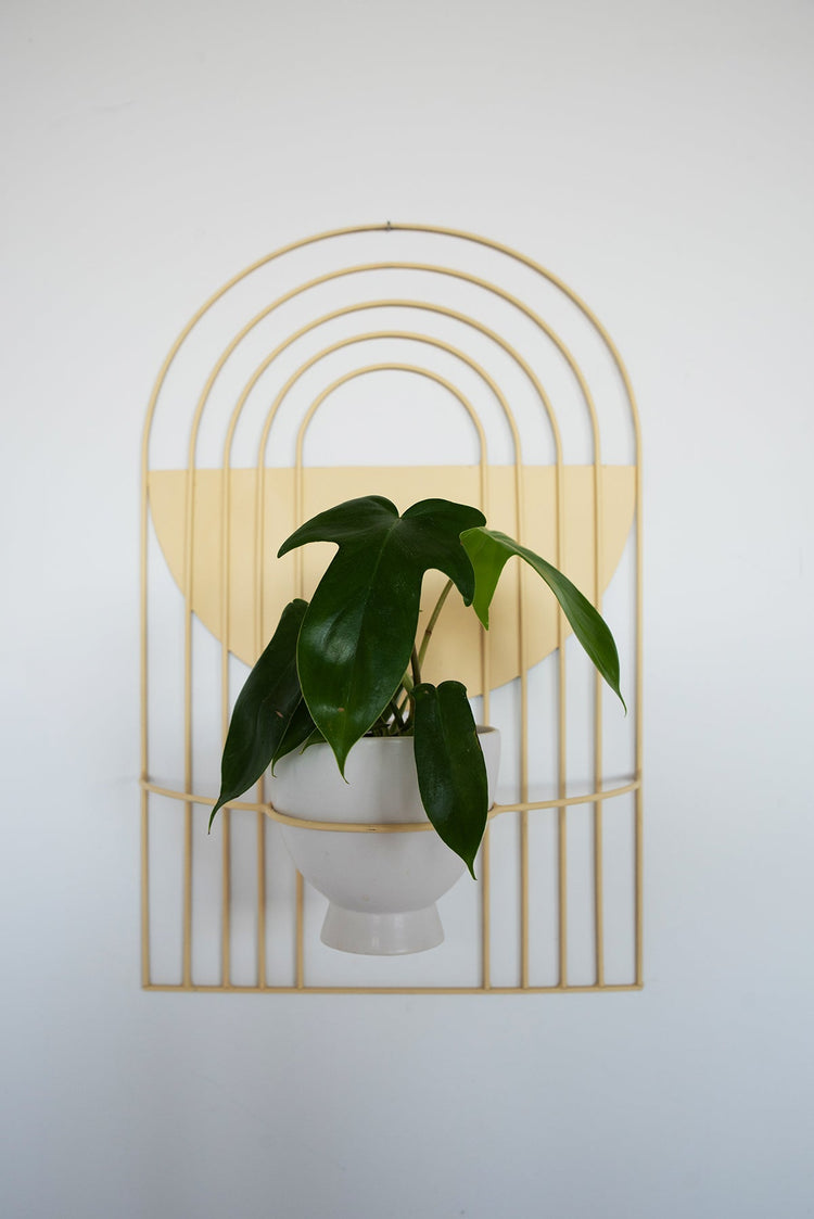 Arch-Form Painted Metal Wall Planter — Concentric arch wire planter in fifteen powdercoat colorways, holds 6-inch pot
