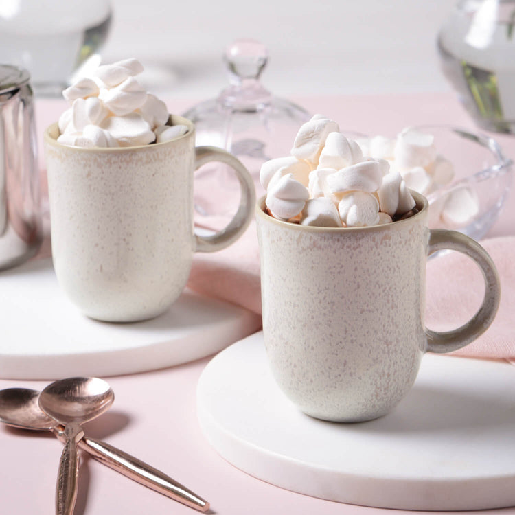 Speckled Ceramic Mug Set of Four