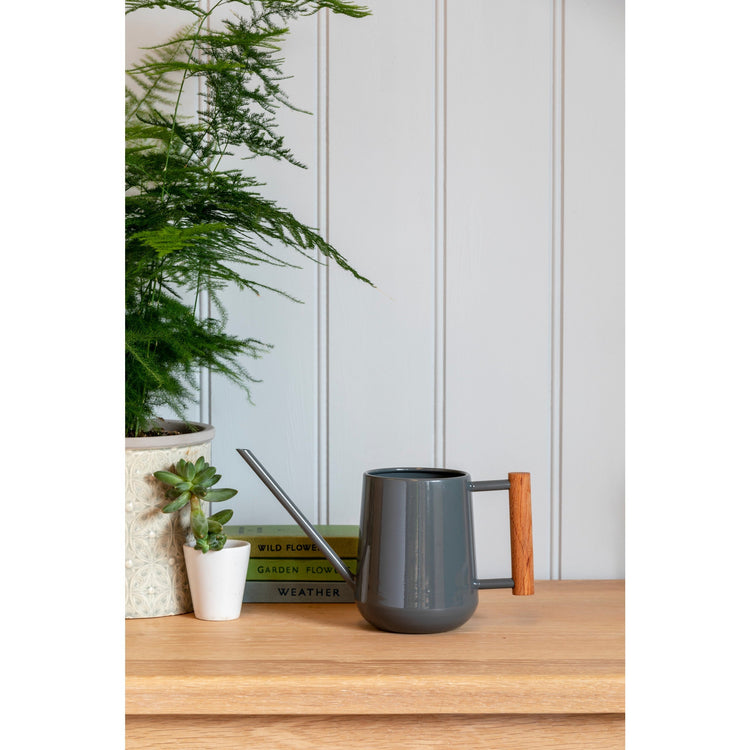 Charcoal Metal Indoor Watering Can