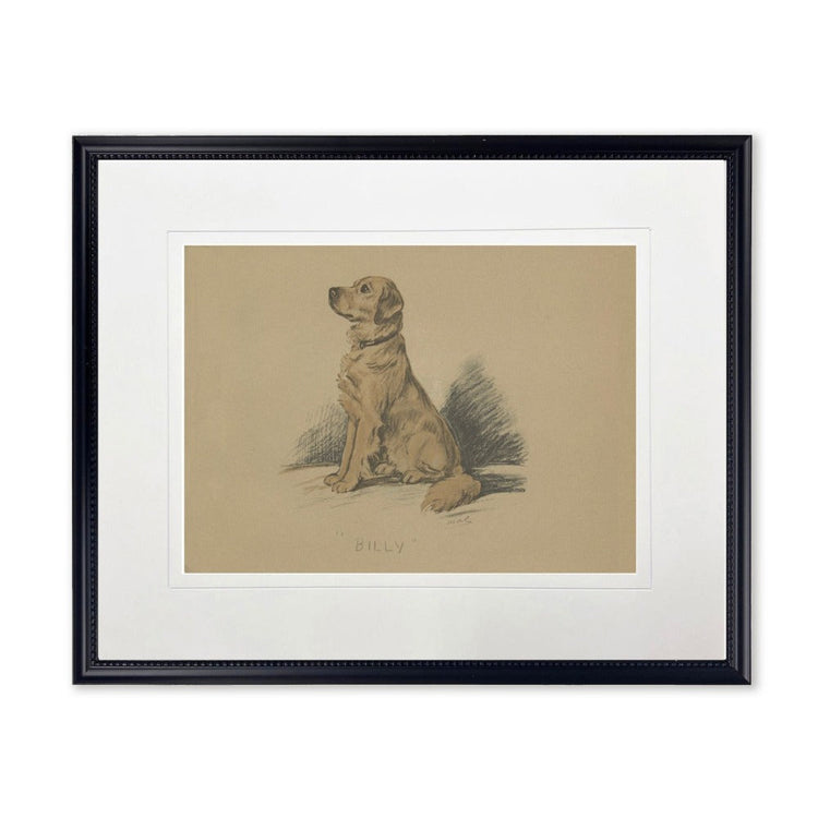 Vintage Dog Sketch Framed Print