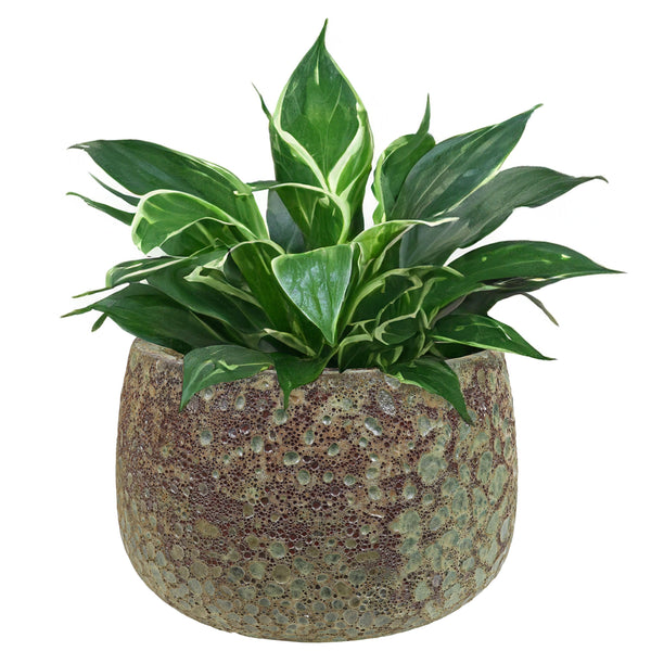 Lava-Glaze Ceramic Round Planter