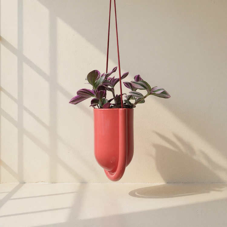 Stoneware Ceramic Hanging Planter against cream microcement with warm steel-window grid shadows