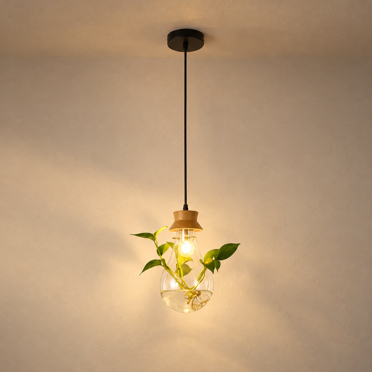 Terrarium Glass Globe Pendant Light illuminated against cream plaster