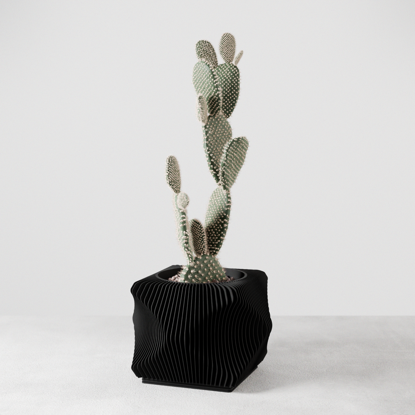 Xenova Planter-1