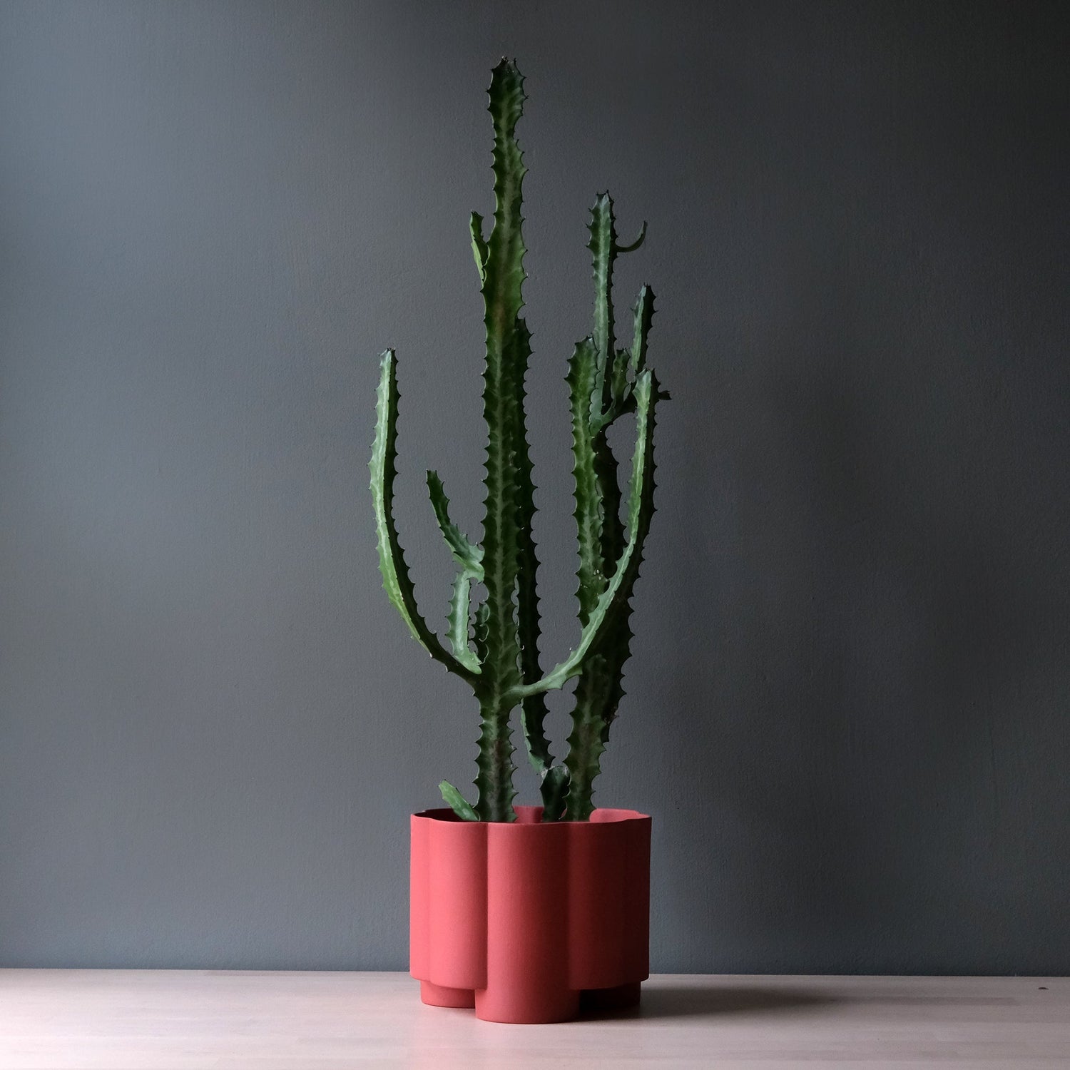 Planters