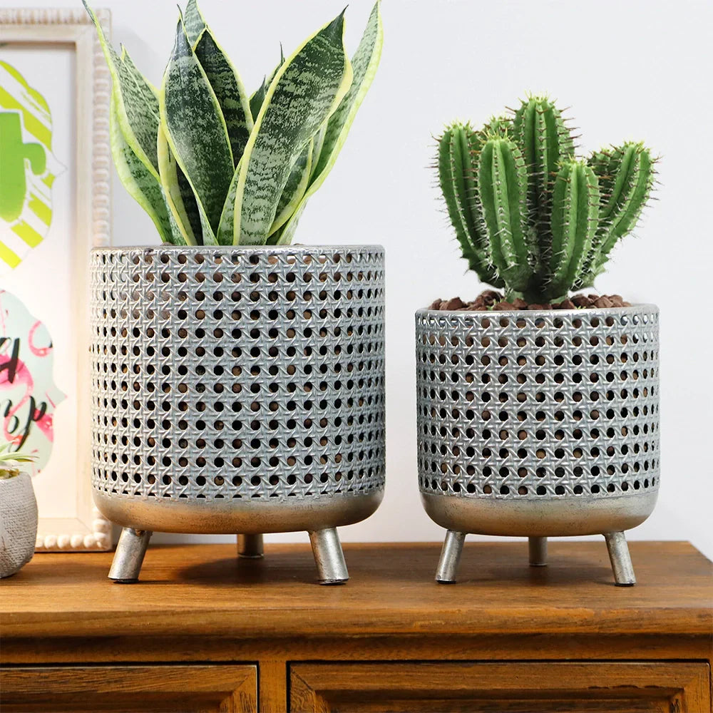 Vases & Planters