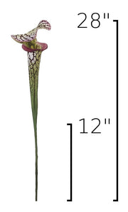 Fabric-Finish Pitcher Plant Stem