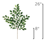 Faux Ruscus Botanical Leaf Stem