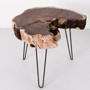 Live-Edge Acacia Slice Side Table — Live-edge acacia slice top on powder-coated hairpin steel legs