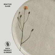 Speckled Ceramic Dinner Plate Set