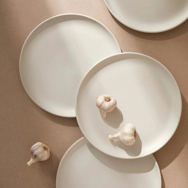 Matte Stoneware Dinnerware Set Twelve-Piece