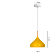 Teardrop Aluminum Pendant Light