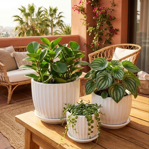 Fluted White Ceramic Planter Set