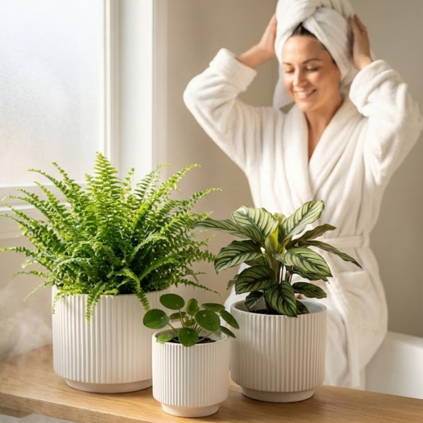 Ribbed Stoneware Planter Set