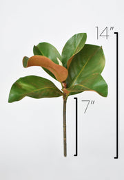 Faux Magnolia Leaf Stem — packaging and unboxing view