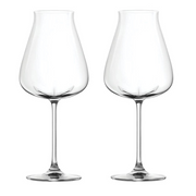Desire Robust Red Wine Glasses