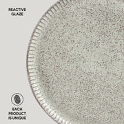 Speckled Ceramic Dinner Plate Set