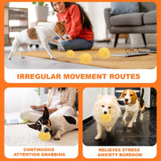 Motion-Activated Rolling Plush Pet Ball