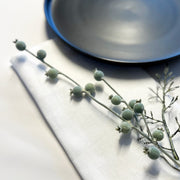 French Flax Linen Napkin Set