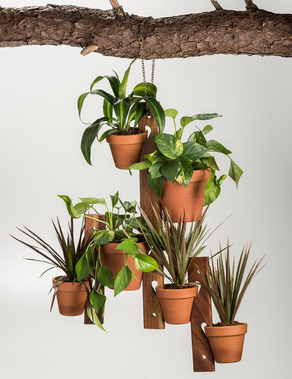 Wood-Grain Six-Pot Hanging Plant Holder