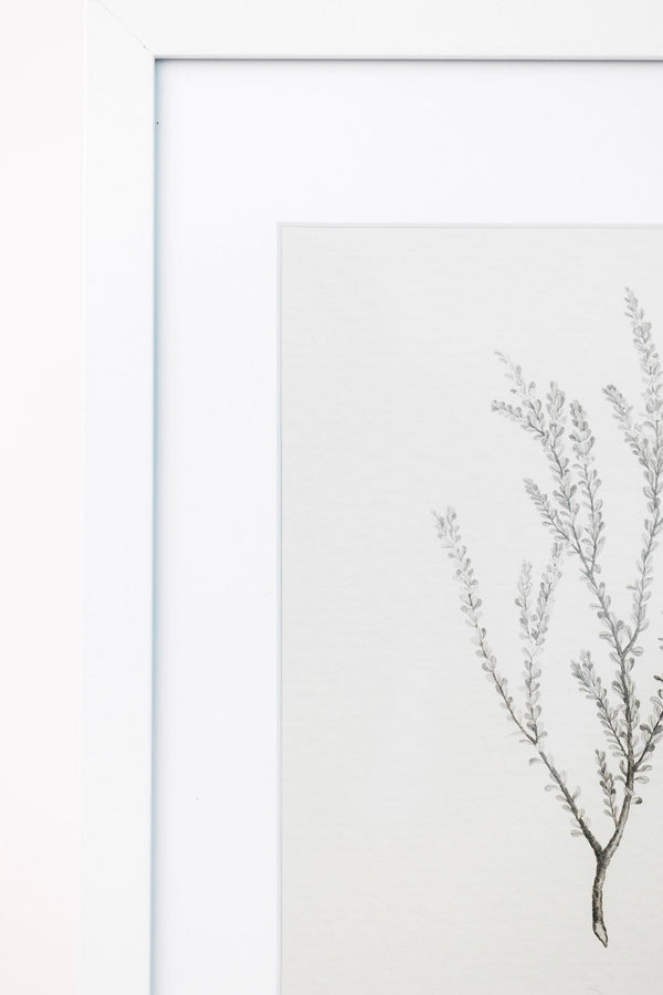 Framed Botanical Sprig Print