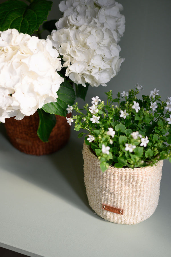 Hand-Woven Sisal Planter Basket