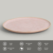 Speckled Ceramic Dinner Plate Set