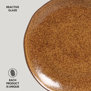 Speckled Ceramic Dinner Plate Set