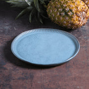 Speckled Ceramic Dinner Plate Set