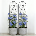 Dragonfly Motif Metal Garden Trellis Pair — Arched black metal trellis pair with dragonfly motifs for climbing plants