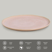 Speckled Ceramic Dinner Plate Set