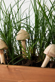Hand-Carved Wood Mushroom Garden Stake