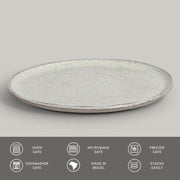 Speckled Ceramic Dinner Plate Set