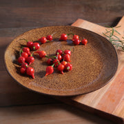 Speckled Ceramic Dinner Plate Set