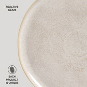 Speckled Ceramic Dinner Plate Set